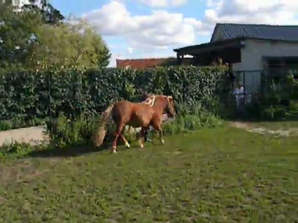 DSCN0450