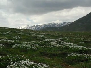 Baybağan Köyü 2011 yayla