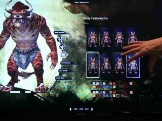 Guild Wars 2 : La création du personnage