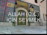 tasavuftan damlalar-Allah için sevmek