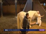 France 3, reportage du 20/08/11 sur les FOLIES CHEVAL avec Wilfride Piollet et Jean Guizerix et les chevaux danseurs