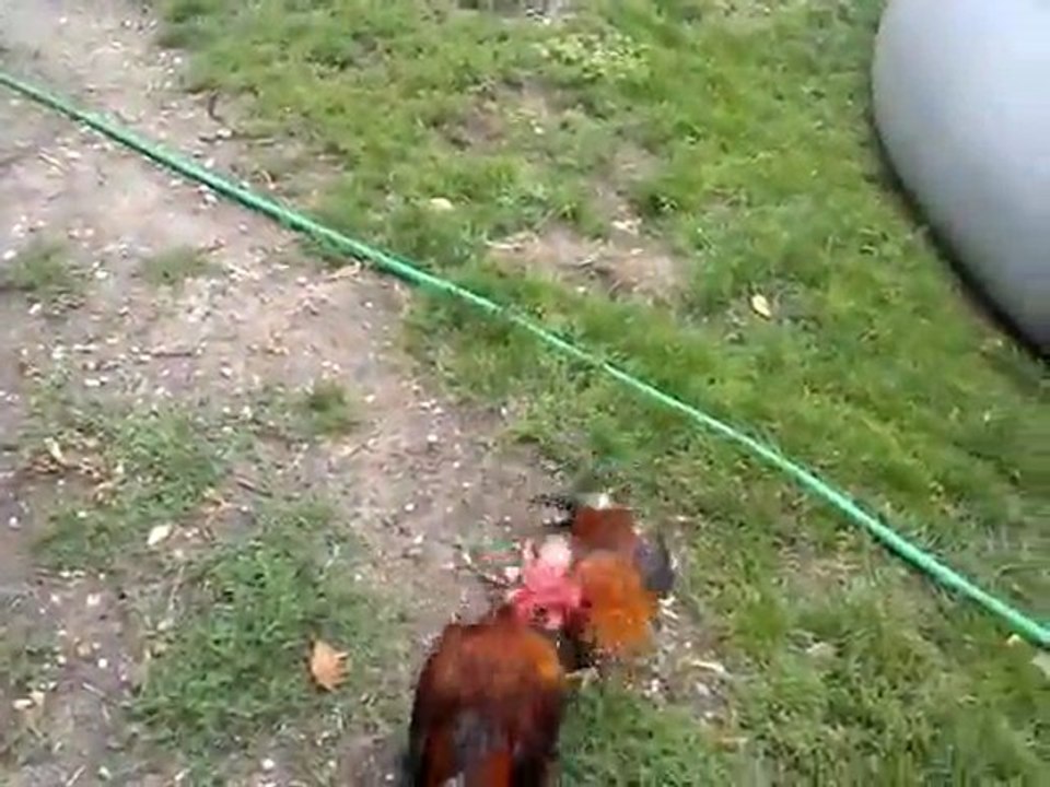 petit test avant ecretage