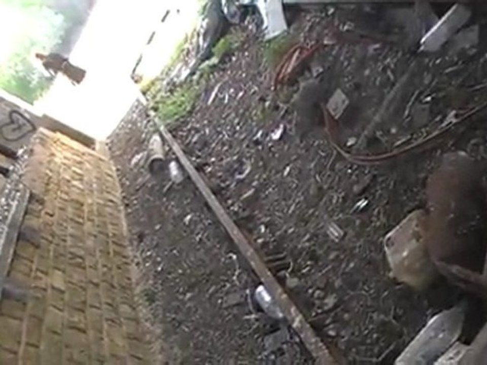 MOV01D