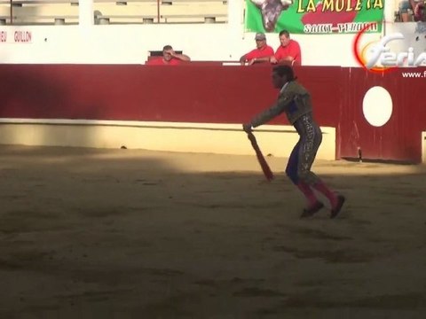 NOVILLADA DE ST SEVER . 21 AOUT 2011