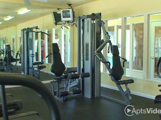 Somerset Park Apartments in Bath, MI - ForRent.com