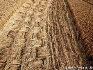 Crop Circle.  Etchilhampton, Wiltshire, UK.25.07.2011