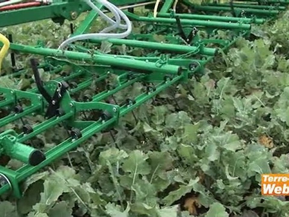 Association colza/légumineuses - Jean-Louis Lucas (Cetiom) : « Elle permet de s'affranchir d'herbicide »