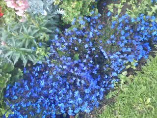 Photographic work sample, July 2011