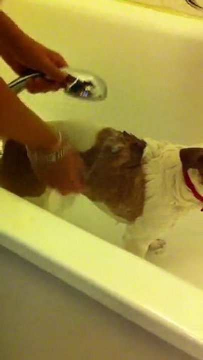 seb-dine chloe au bain