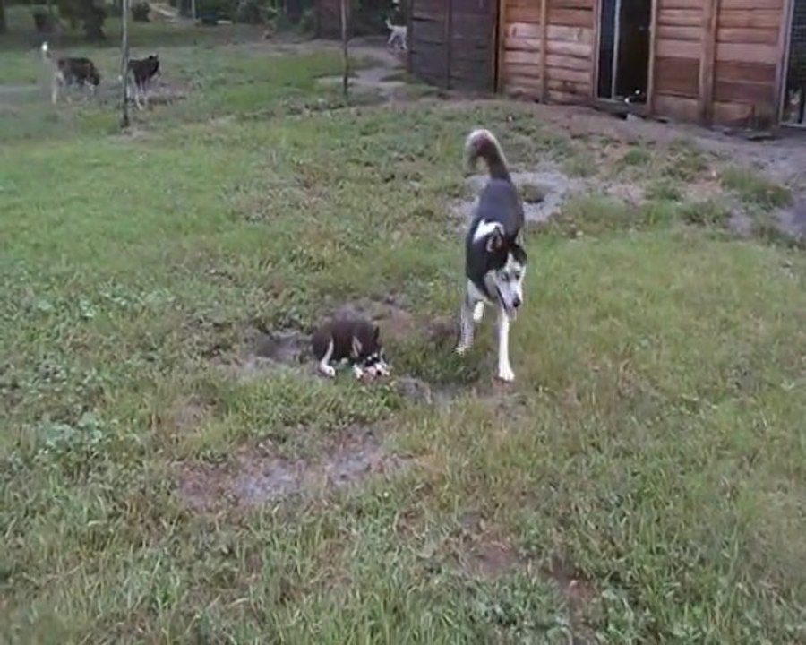 amarock et maitouk 22 aout 011