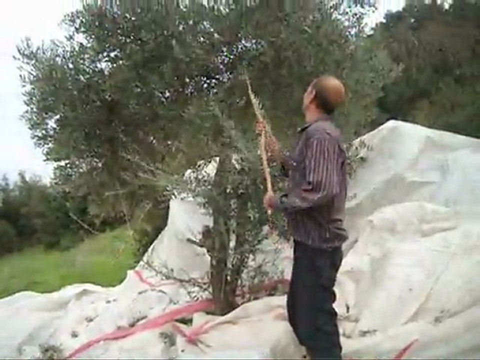 Ahmet Gökçe'nin Anısına...
