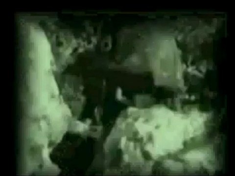 Mahmud Efendi Hazretleri ve Kıbrıs Harekatı