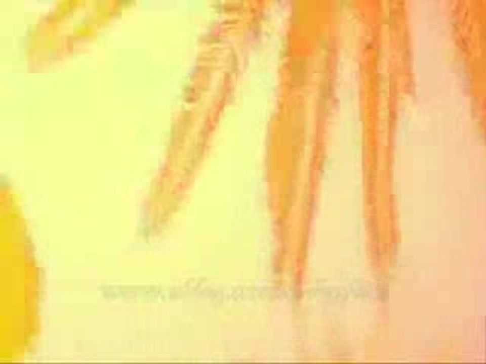 The Tea Party  -  Heaven Coming Down