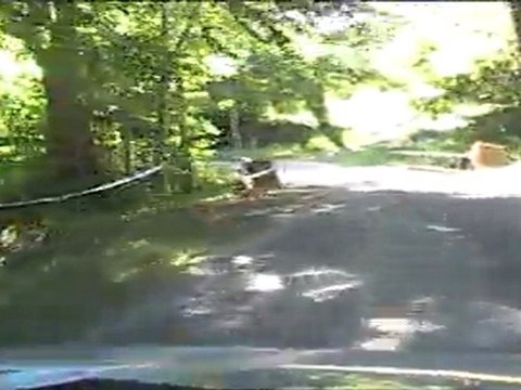 Rallye du Gap Racing 2011 Es2: N.D. du Laus