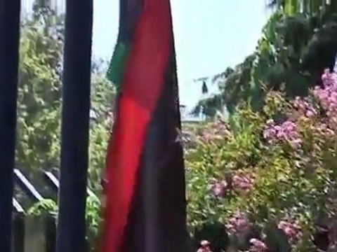 Turkish Libyans celebrate rebel win