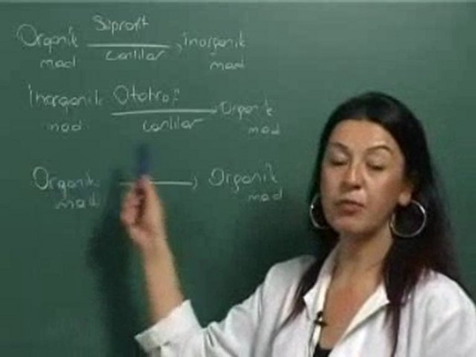 Beslenme İlişkileri | www.eBiyoloji.Org
