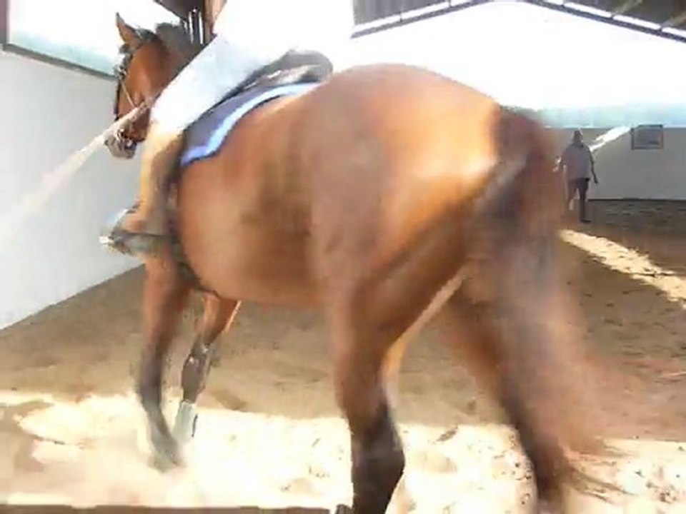 Soierie travail au trot suite