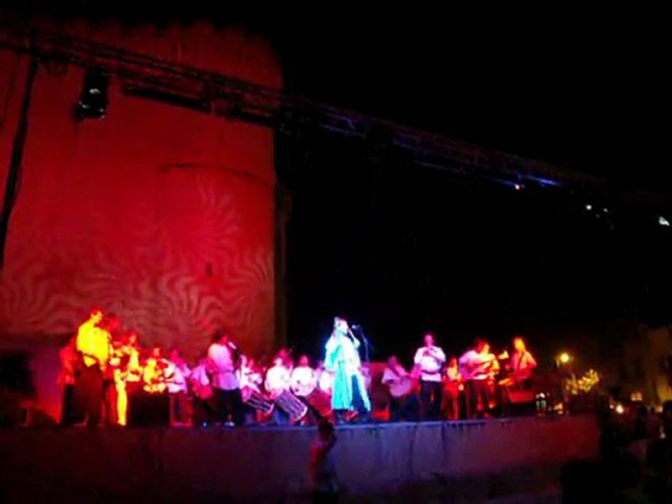 médievales Tarascon 2011