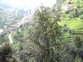 Samri ve kayabaşi videosu