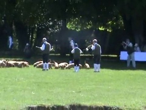 Breil 2011 Rallye Des Falaises