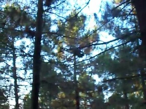 TURK AIRSOFT - THOMPSON 1928 CHICAGO AEG TÜFEK ATIŞ TESTİ TurkAirsoft.com