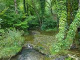 le jura, des lacs des cascades des sources  2eme partie