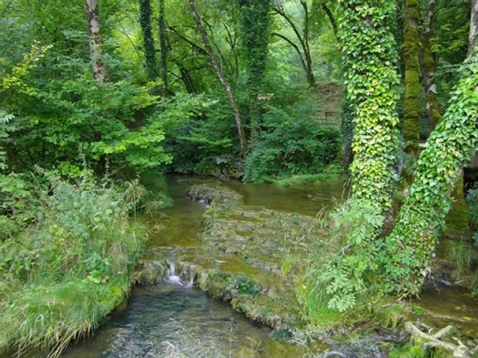 le jura, des lacs des cascades des sources  2eme partie