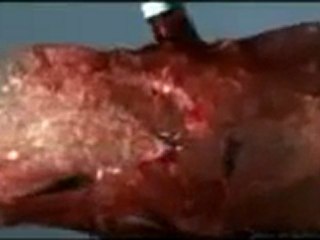 Bir Mermi Neler Yapabilir ?