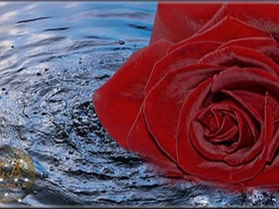 D.ALİ ERZİNCANLI MİRAC FON