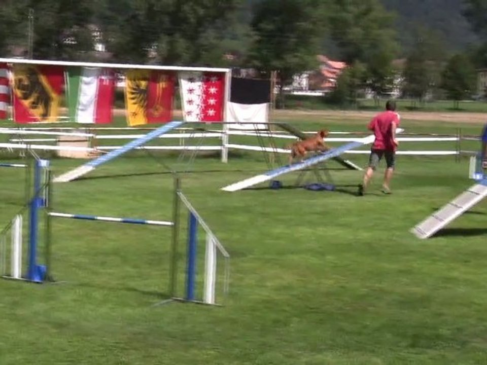 Kawa Agility Couvet 20/08/2011