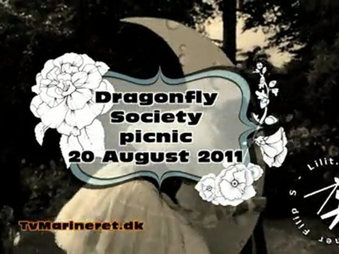 Dragonfly Society Picnic 2011-20 August. (Filip S - Lilit.dk)