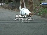 sakusaku 110823 3 みんなでうたおうＺ～犬のバラード～)