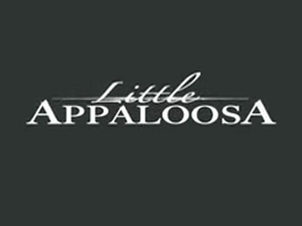 Little Appaloosa