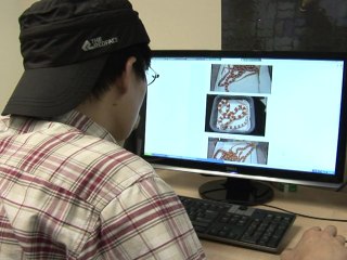 Reptiles make perfect pets in Hong Kong