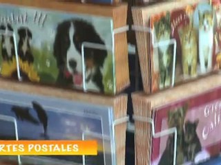 Image'In-Commande tirage photos en ligne