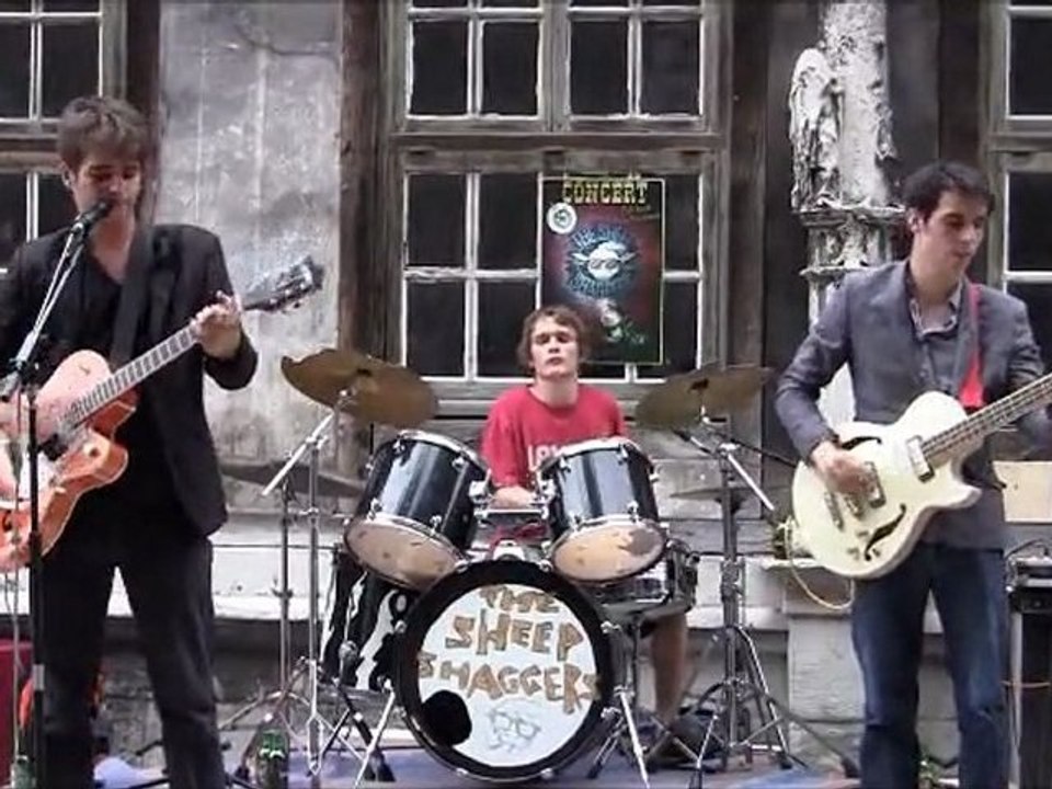 The Sheep Shaggers : Beaux Arts (Rouen) - MBK 51 27.06.2011
