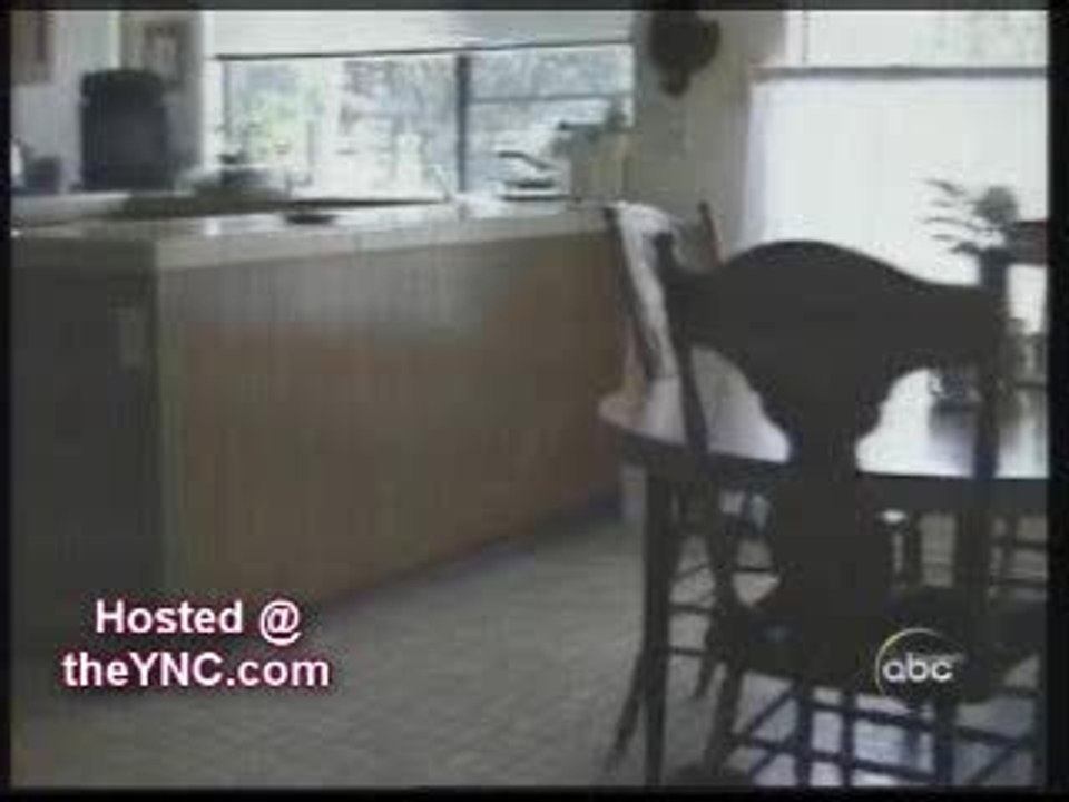 animaux-intelligents