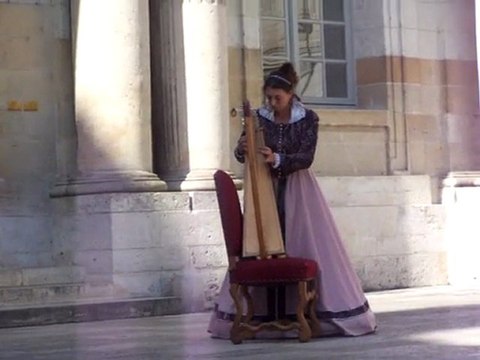 1577 chateau royal de Blois spectacle du Conservatoire National d'escrime ancienne début du spectacle Alicia et sa harpe