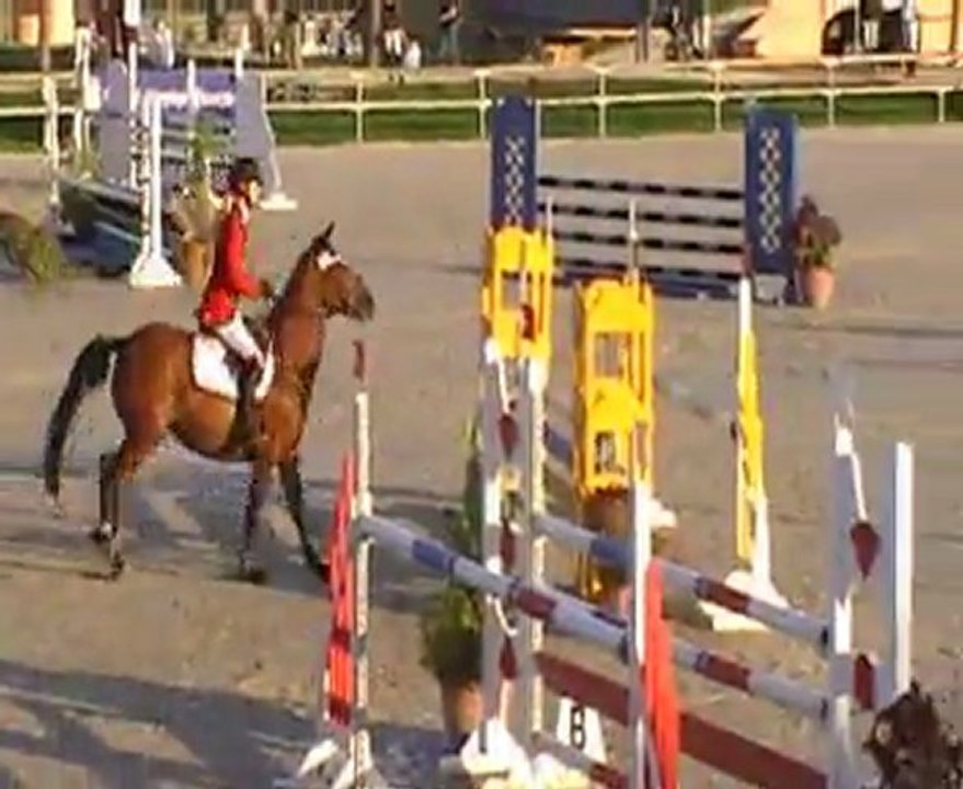 Salsa Rocq - Sologn'Pony 2011 - finale SHF 5 ans D - A VENDRE