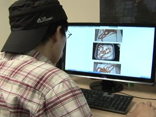 Les reptiles, animaux de compagnie très prisés à Hong Kong