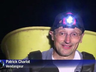 Premiers coups de sécateur dans le Beaujolais