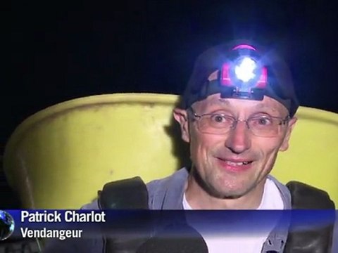 Premiers coups de sécateur dans le Beaujolais