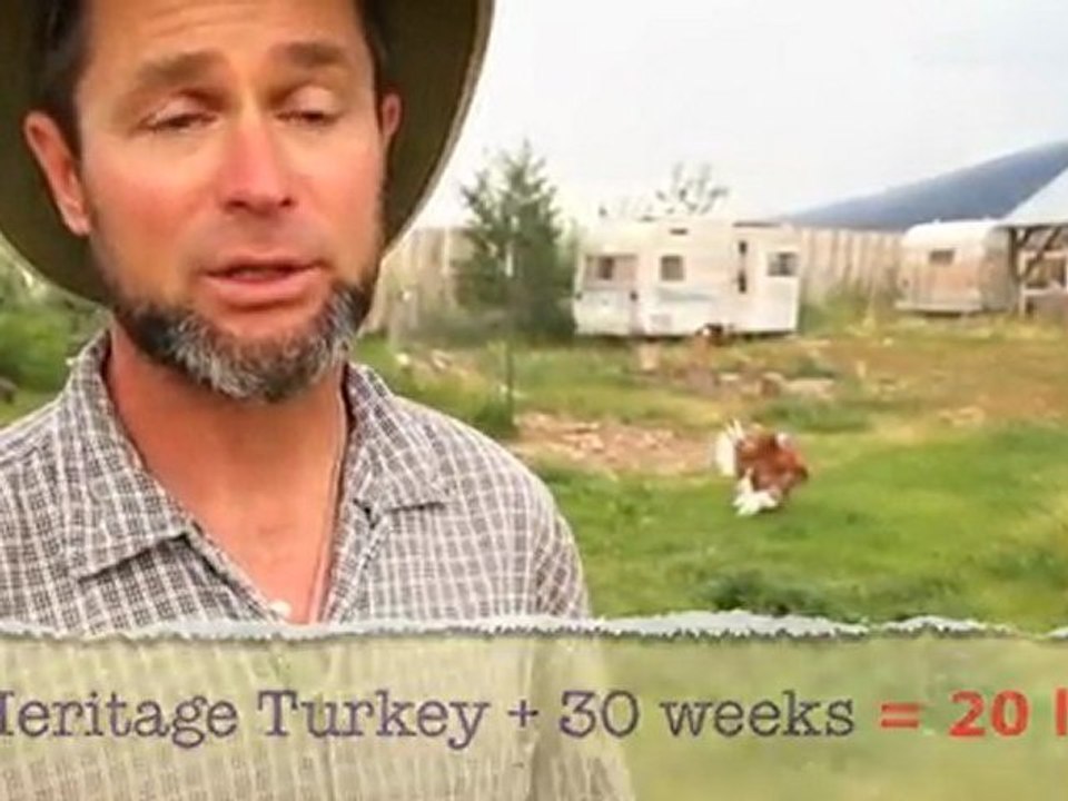 Homestead Organics - Bird is the Word