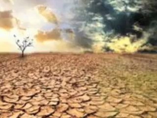 Soul Dhamma-Flower (The Underwater Garden Dub Aka Scuba Mix).