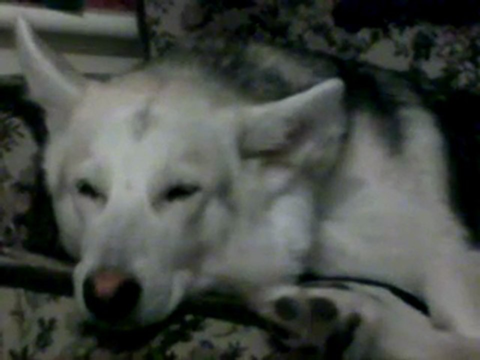 Freya Dreaming