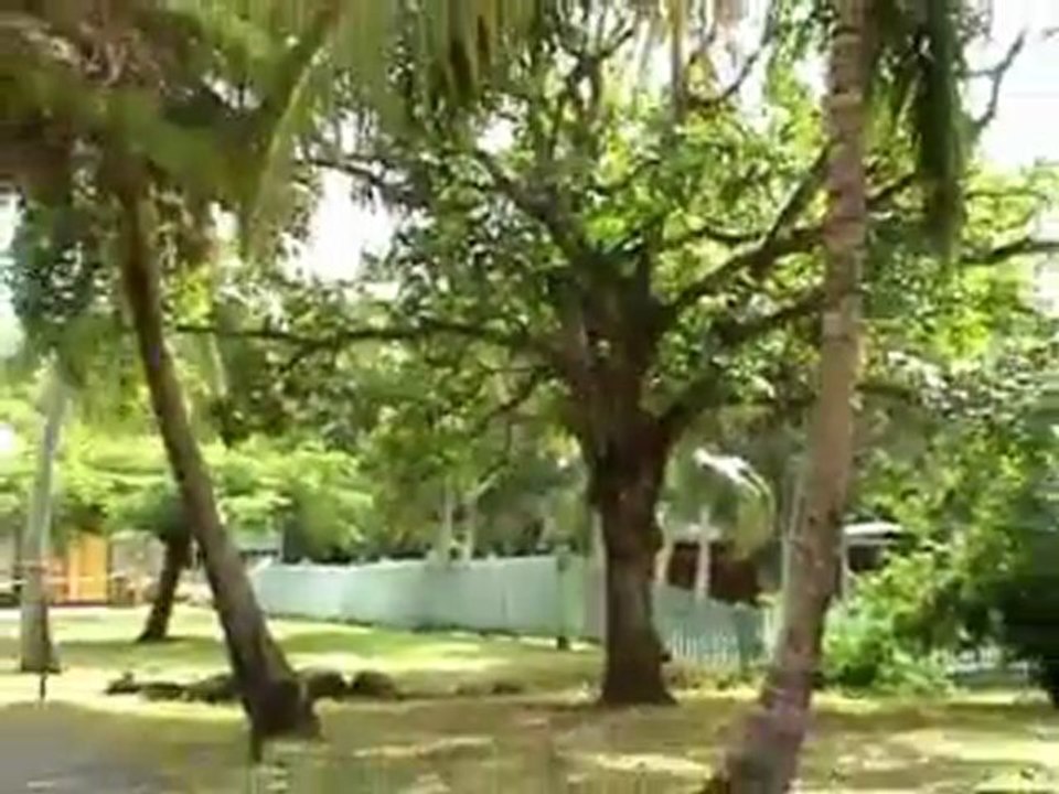 One year trip Ausralia/Indonesia/New-Zealand