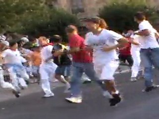 Tafalla 2011 - Encierro Los Recitales