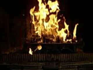 Flambée aux granulés de bois