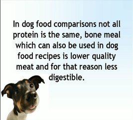 Comparing Dog Food