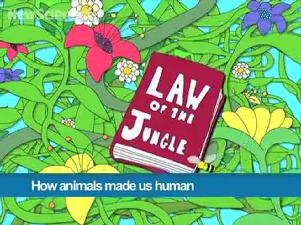 The Human And the Animal In Us